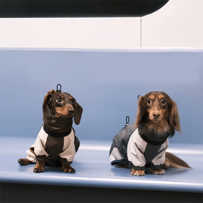 Dachshund Clothes Dog Coat Softshell Jacket Outdoor Windproof - PIKAPIKA