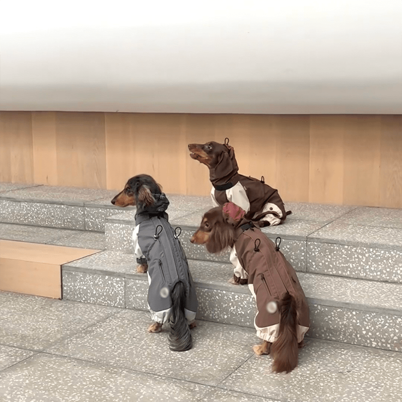 Dachshund Clothes Dog Coat Softshell Jacket Outdoor Windproof - PIKAPIKA