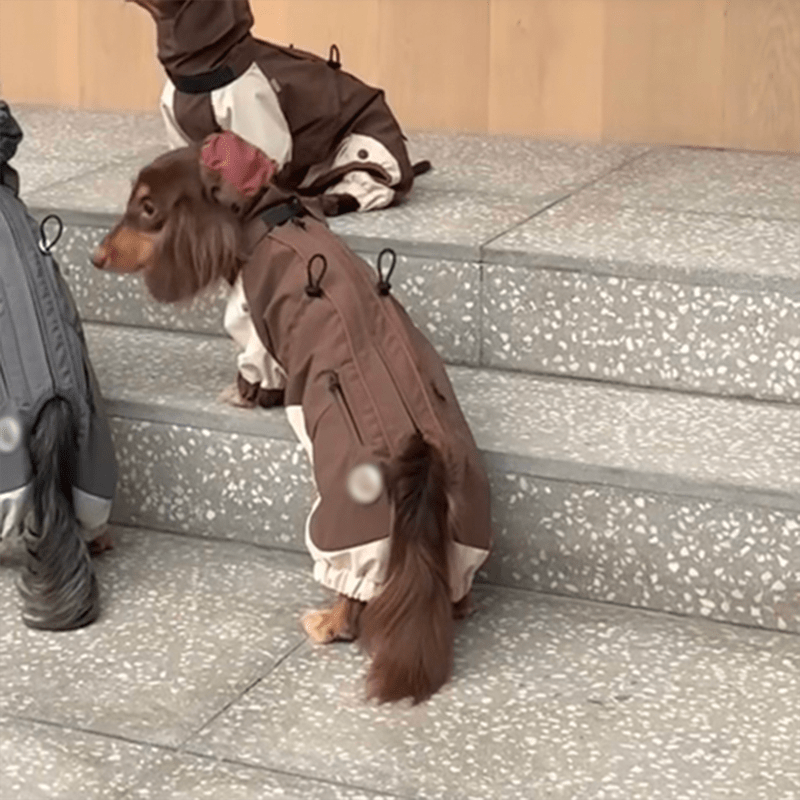 Dachshund Clothes Dog Coat Softshell Jacket Outdoor Windproof - PIKAPIKA