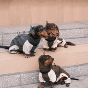 Dachshund Clothes Dog Coat Softshell Jacket Outdoor Windproof - PIKAPIKA