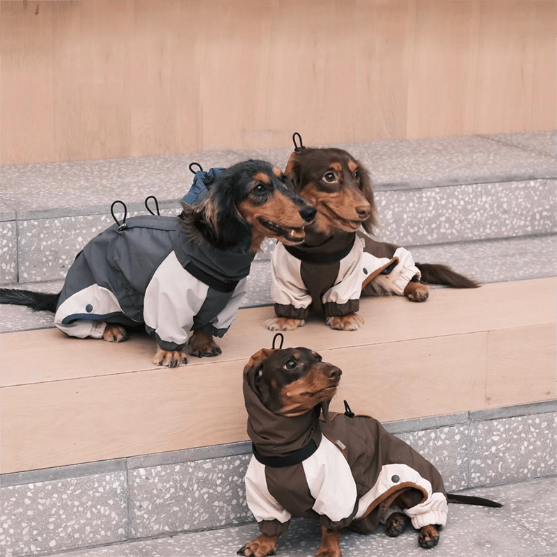 Dachshund Clothes Dog Coat Softshell Jacket Outdoor Windproof - PIKAPIKA