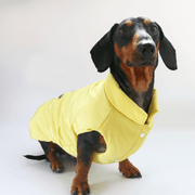 Dachshund Clothes Dog Coat Vest Padding Jacket Button - PIKAPIKA