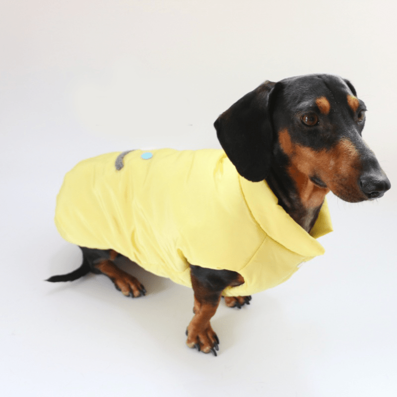 Dachshund Clothes Dog Coat Vest Padding Jacket Button - PIKAPIKA