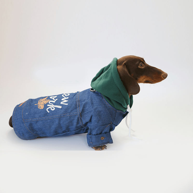 Dachshund Clothes Dog Denim Hoodie Button Jacket New York - PIKAPIKA