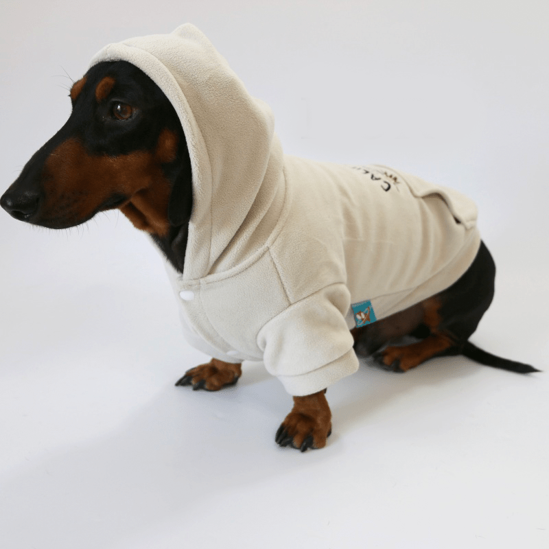 Dachshund Clothes Dog Fleece Casual Hoodie Soft Warm - PIKAPIKA