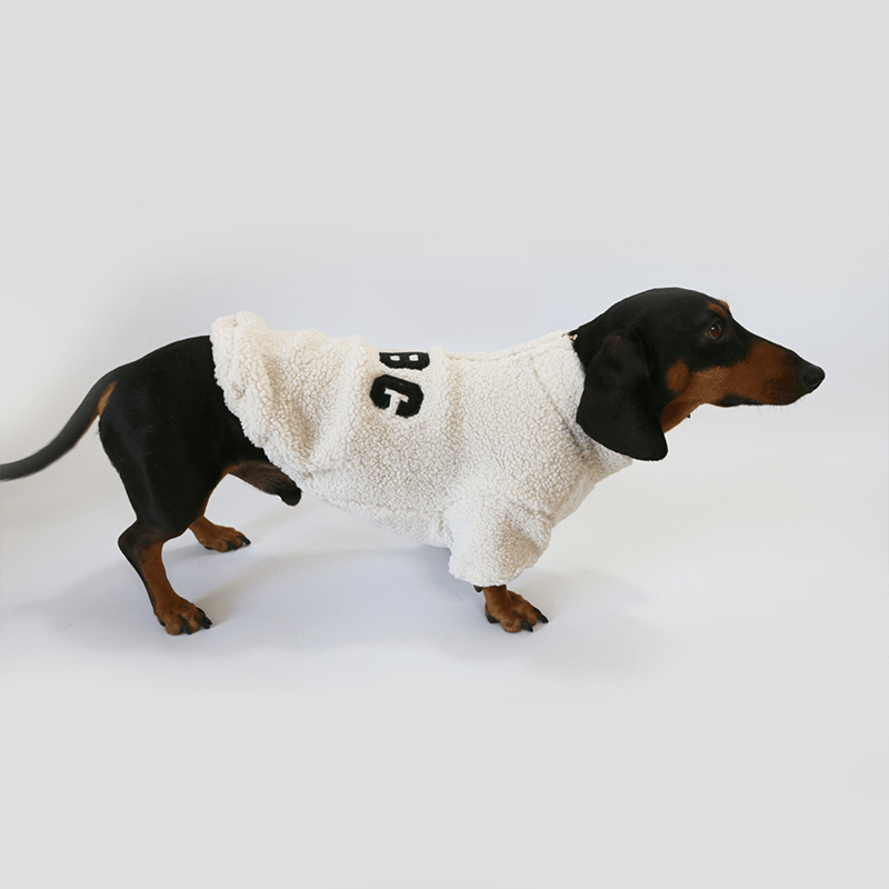 Dachshund Clothes Dog Fleece Coat Zip on the Back - PIKAPIKA