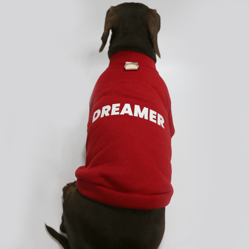 Dachshund Clothes Dog Fleece Sweatshirts Soft Warm Hoodie - PIKAPIKA