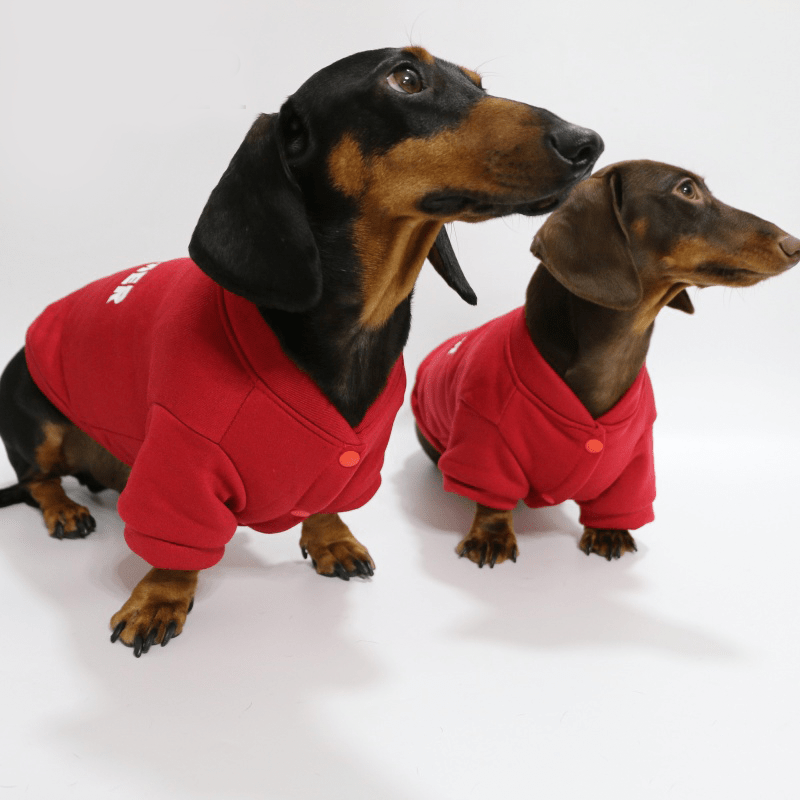 Dachshund Clothes Dog Fleece Sweatshirts Soft Warm Hoodie - PIKAPIKA