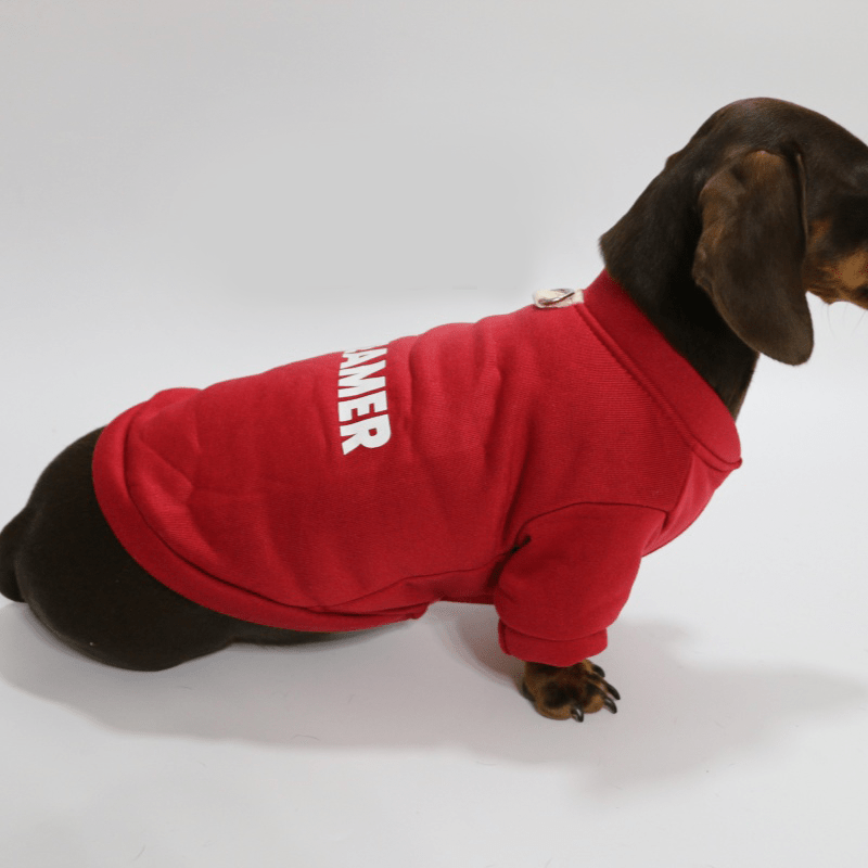 Dachshund Clothes Dog Fleece Sweatshirts Soft Warm Hoodie - PIKAPIKA