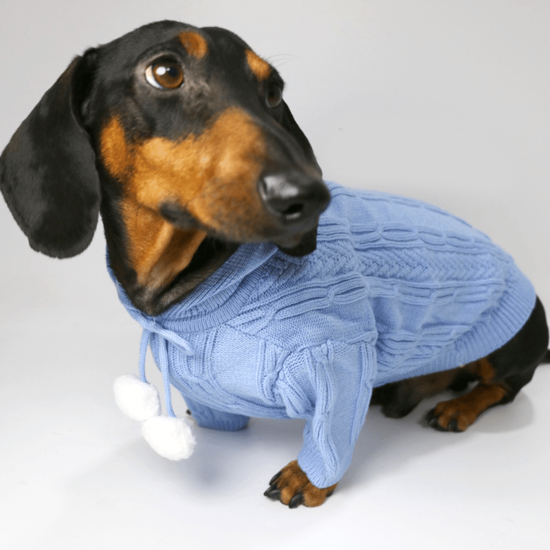 Dachshund Clothes Dog Hoodie Cable Knit Sweater - PIKAPIKA