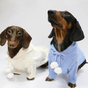 Dachshund Clothes Dog Hoodie Cable Knit Sweater - PIKAPIKA