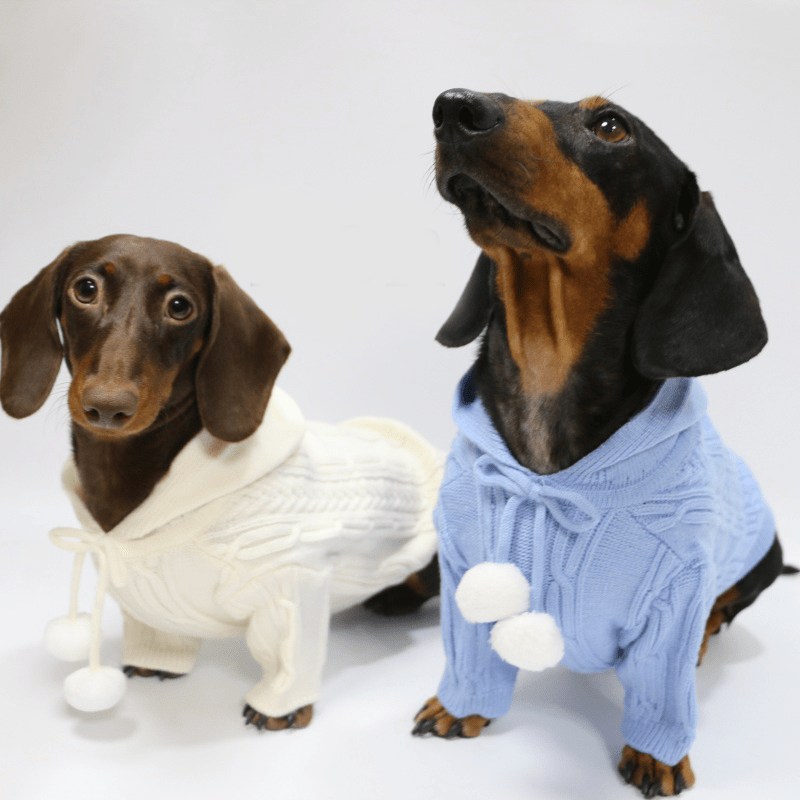 Dachshund Clothes Dog Hoodie Cable Knit Sweater - PIKAPIKA