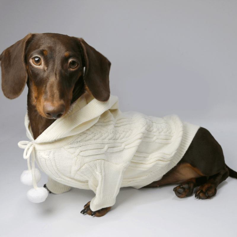 Dachshund Clothes Dog Hoodie Cable Knit Sweater - PIKAPIKA