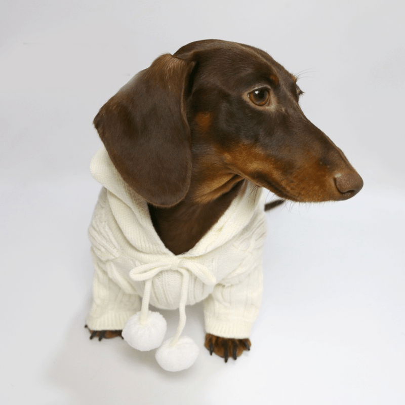 Dachshund Clothes Dog Hoodie Cable Knit Sweater - PIKAPIKA