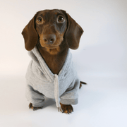 Dachshund Clothes Dog Hoodie Casual Sporty Style - PIKAPIKA