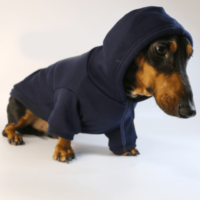 Dachshund Clothes Dog Hoodie Casual Sporty Style - PIKAPIKA