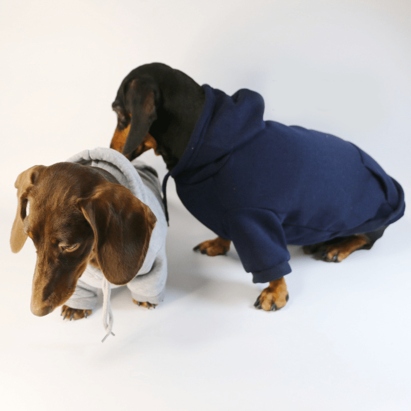 Dachshund Clothes Dog Hoodie Casual Sporty Style - PIKAPIKA