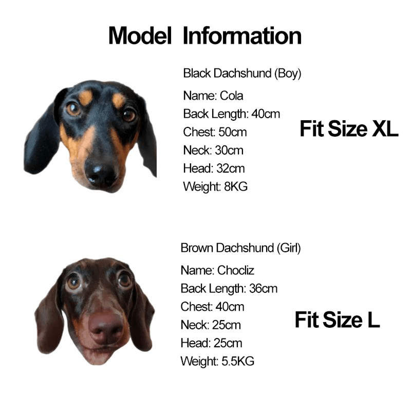 Dachshund Clothes Dog Hoodie Casual Sporty Style - PIKAPIKA