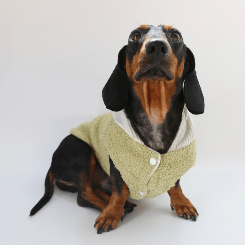 Dachshund Clothes Dog Hoodie Fleece Button Jacket Green - PIKAPIKA