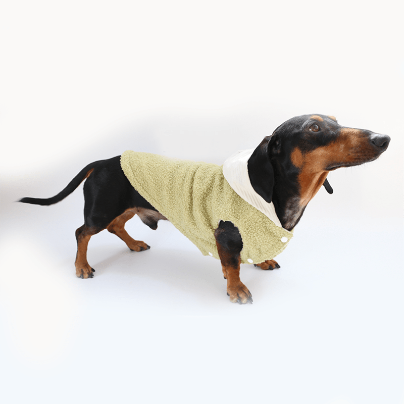 Dachshund Clothes Dog Hoodie Fleece Button Jacket Green - PIKAPIKA