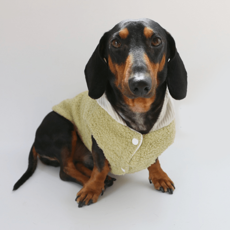 Dachshund Clothes Dog Hoodie Fleece Button Jacket Green - PIKAPIKA