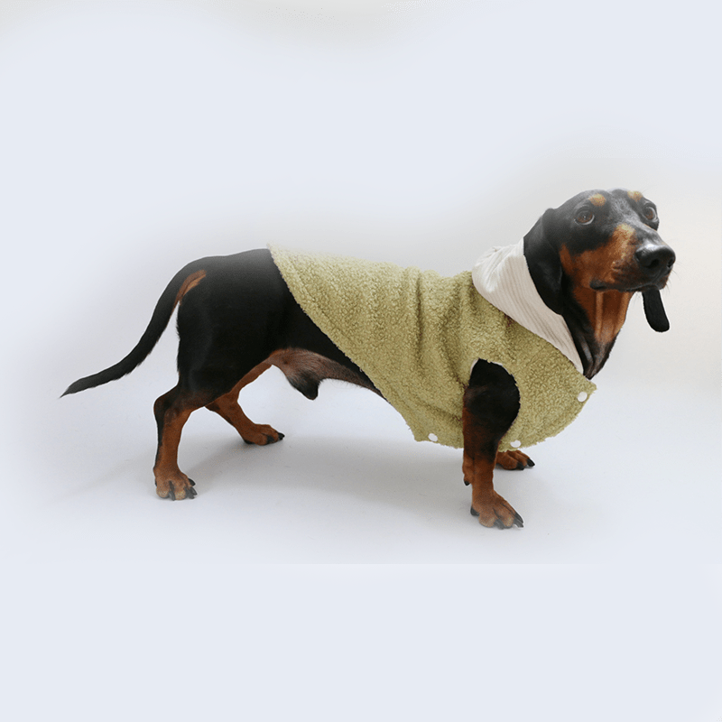 Dachshund Clothes Dog Hoodie Fleece Button Jacket Green - PIKAPIKA