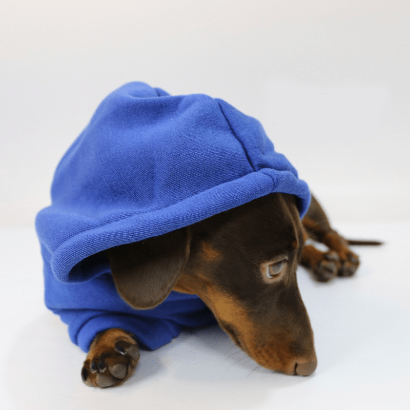 Dachshund Clothes Dog Hoodie Fleece Lining Warm - PIKAPIKA