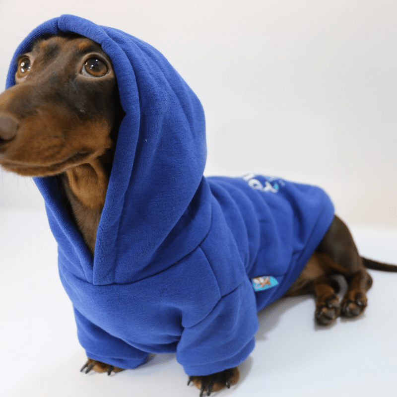 Dachshund Clothes Dog Hoodie Fleece Lining Warm - PIKAPIKA