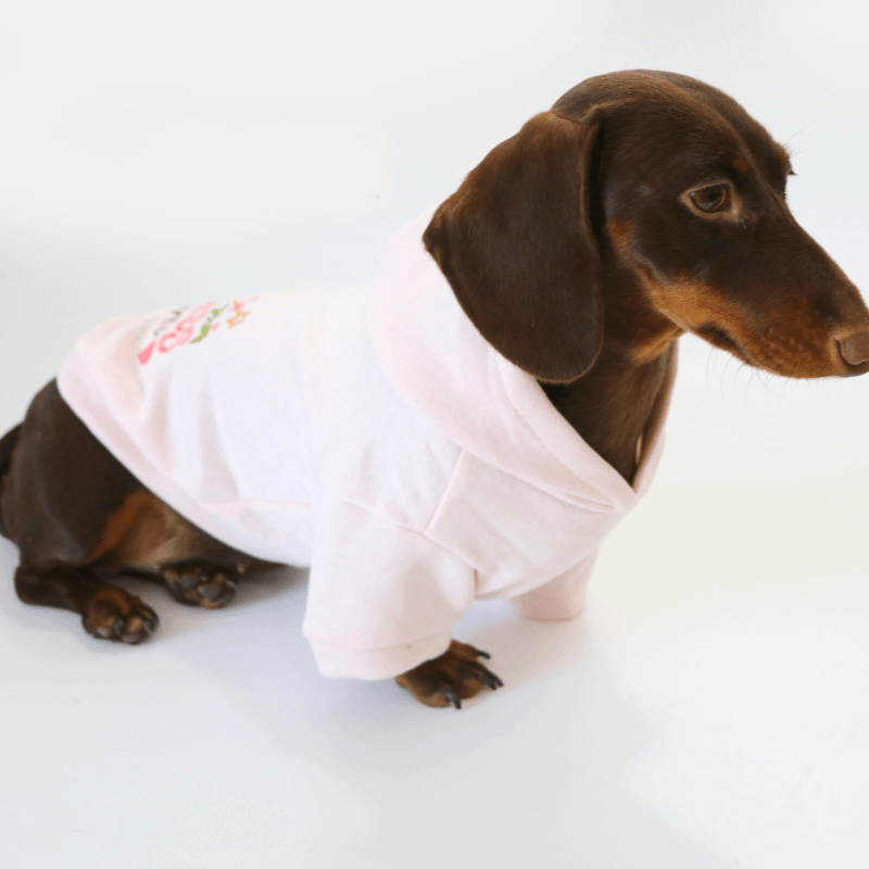 Dachshund Clothes Dog Hoodie Fleece Lining Warm - PIKAPIKA