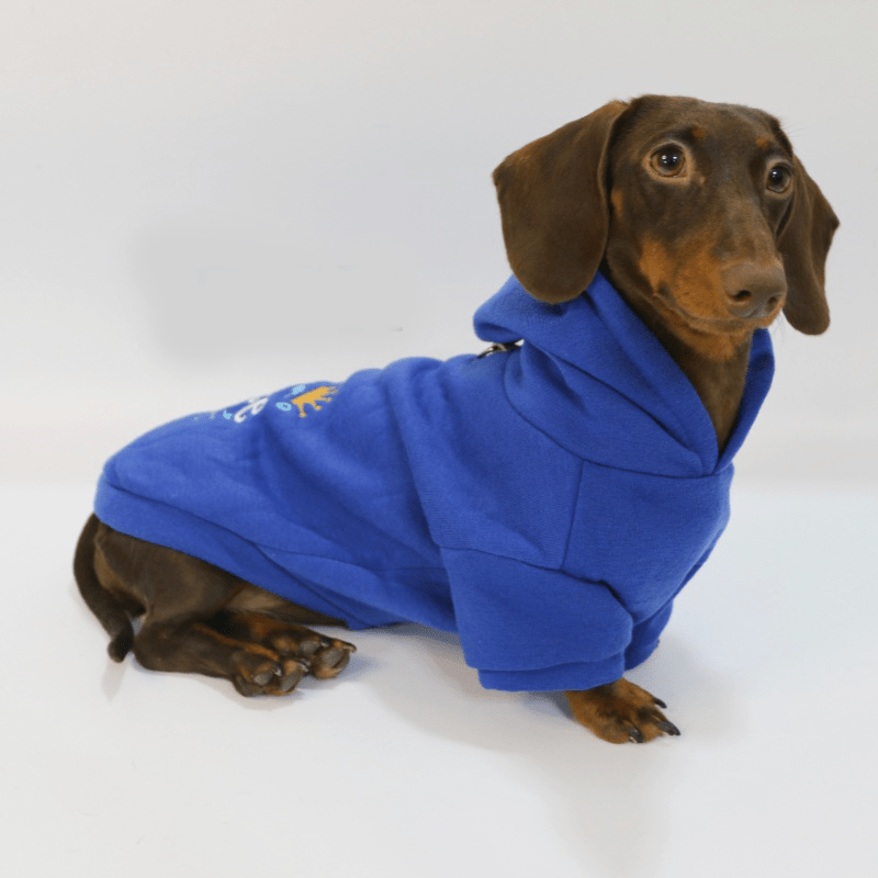 Dachshund Clothes Dog Hoodie Fleece Lining Warm - PIKAPIKA