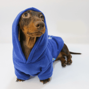Dachshund Clothes Dog Hoodie Fleece Lining Warm - PIKAPIKA