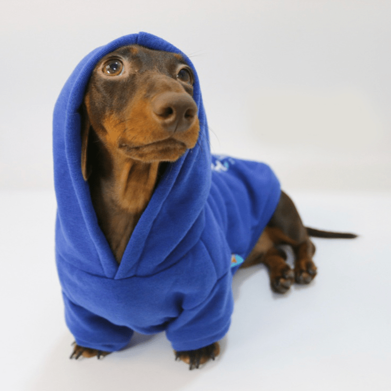 Dachshund Clothes Dog Hoodie Fleece Lining Warm - PIKAPIKA