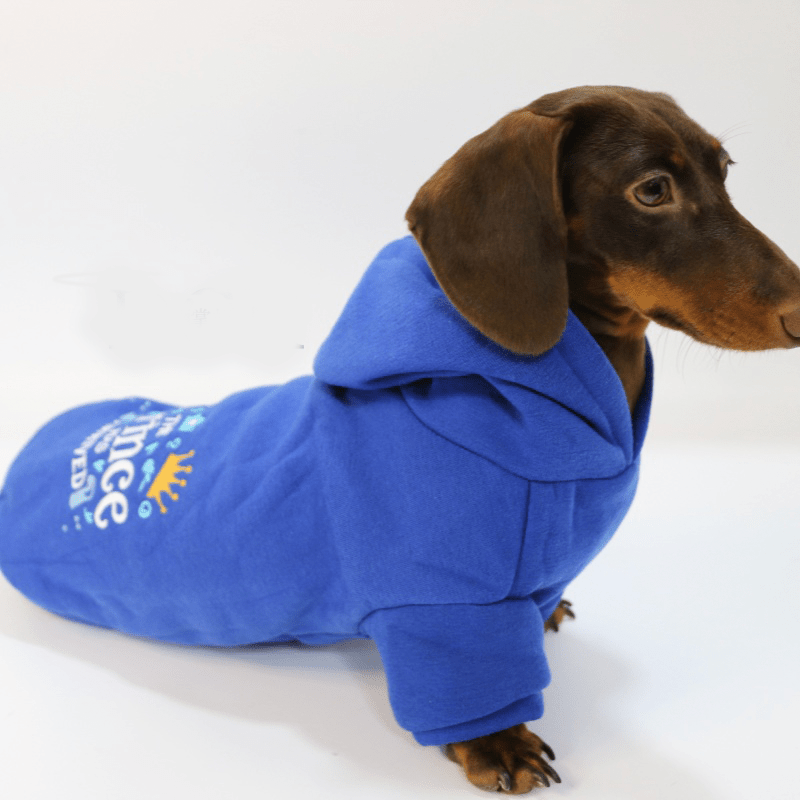 Dachshund Clothes Dog Hoodie Fleece Lining Warm - PIKAPIKA