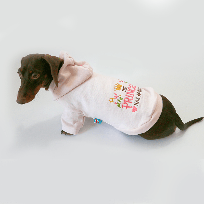 Dachshund Clothes Dog Hoodie Fleece Lining Warm - PIKAPIKA