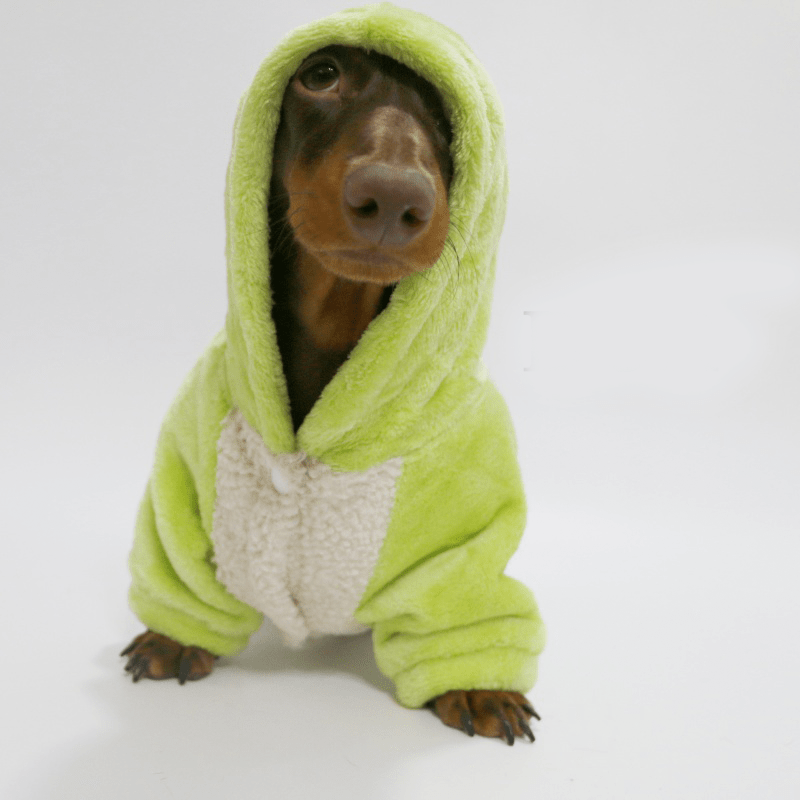 Dachshund Clothes Dog Hoodie Fleece Neon Green - PIKAPIKA