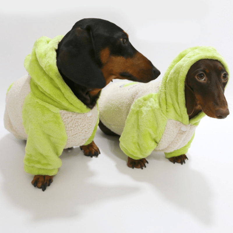 Dachshund Clothes Dog Hoodie Fleece Neon Green - PIKAPIKA