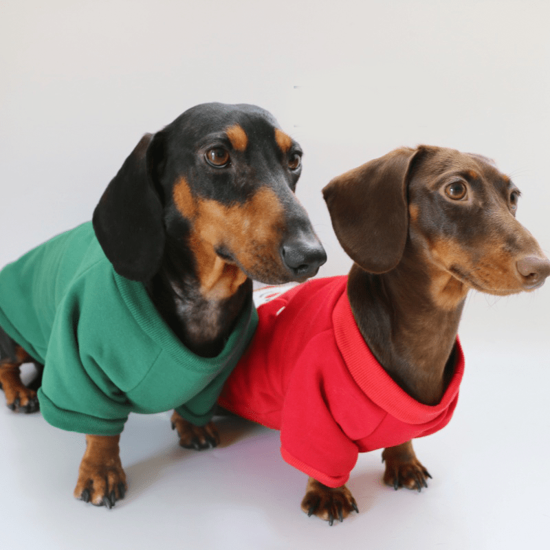 Dachshund Clothes Dog Hoodie Sweatshirt Christmas Costume Red Green - PIKAPIKA