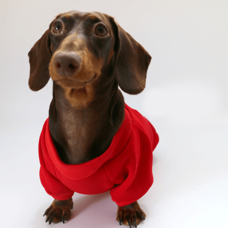 Dachshund Clothes Dog Hoodie Sweatshirt Christmas Costume Red Green - PIKAPIKA