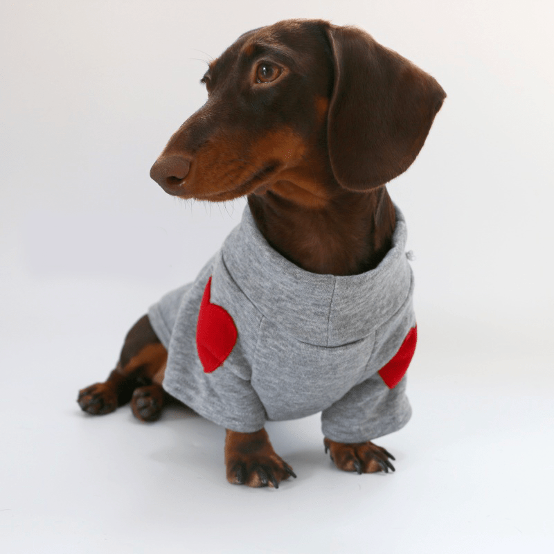 Dachshund Clothes Dog Hoodie Sweatshirt Love Heart Valentine's Day - PIKAPIKA
