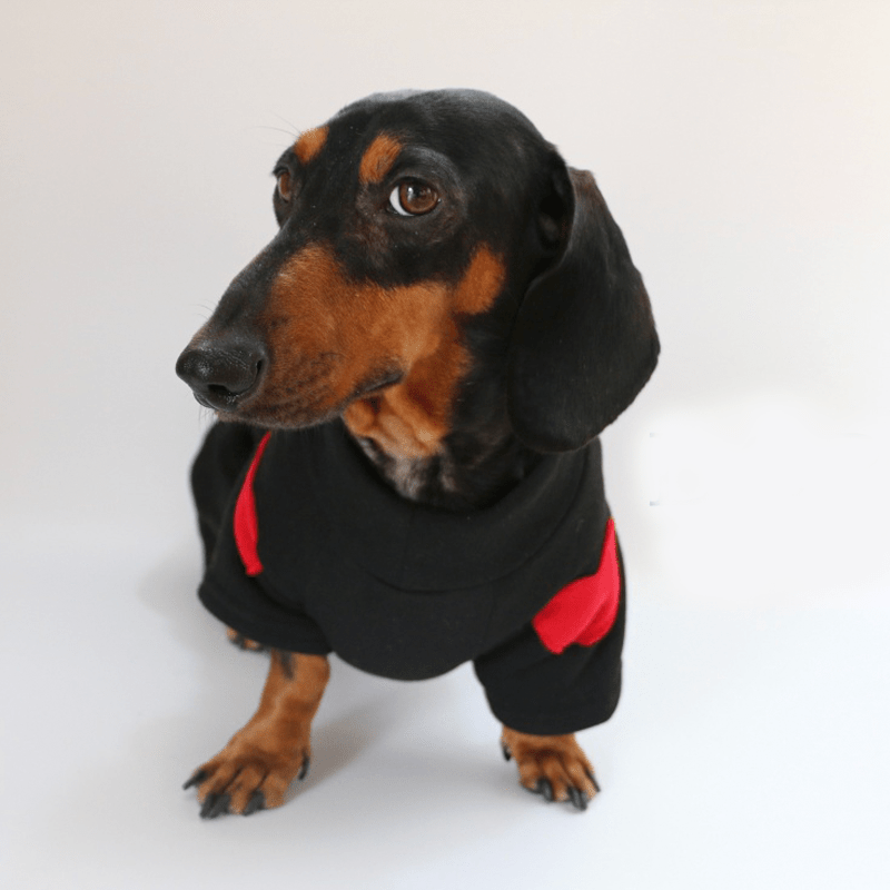 Dachshund Clothes Dog Hoodie Sweatshirt Love Heart Valentine's Day - PIKAPIKA