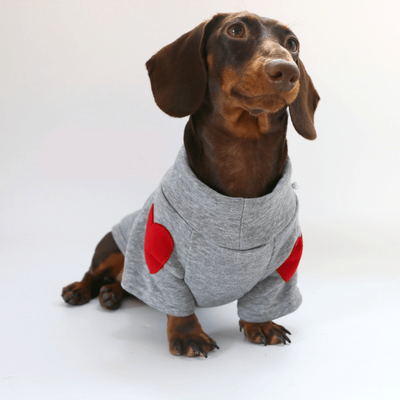 Dachshund Clothes Dog Hoodie Sweatshirt Love Heart Valentine's Day - PIKAPIKA