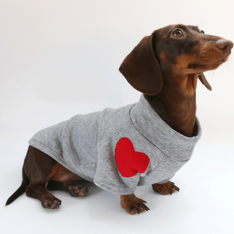Dachshund Clothes Dog Hoodie Sweatshirt Love Heart Valentine's Day - PIKAPIKA
