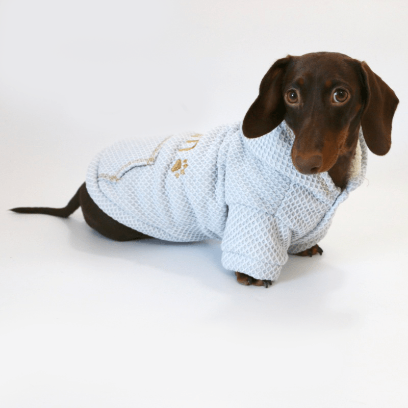 Dachshund Clothes Dog Hoodie Waffle Fabric with D - Ring - PIKAPIKA