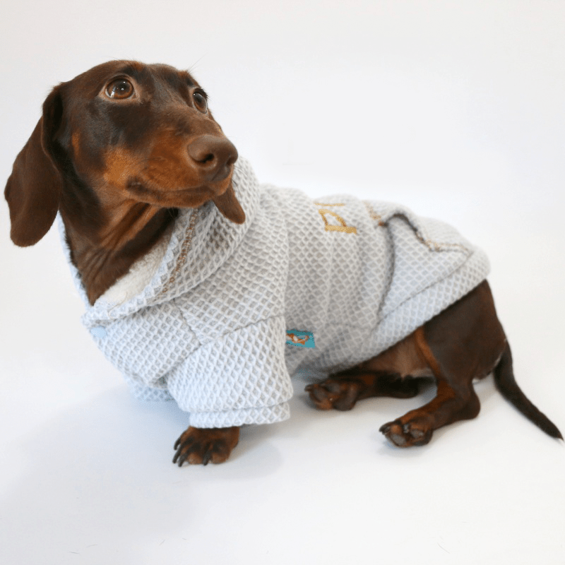 Dachshund Clothes Dog Hoodie Waffle Fabric with D - Ring - PIKAPIKA
