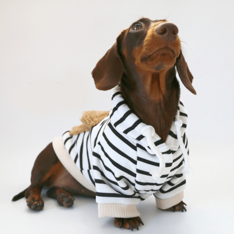 Dachshund Clothes Dog Hoodie Zebra Fleece Pocket with D - Ring - PIKAPIKA