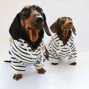 Dachshund Clothes Dog Hoodie Zebra Fleece Pocket with D - Ring - PIKAPIKA