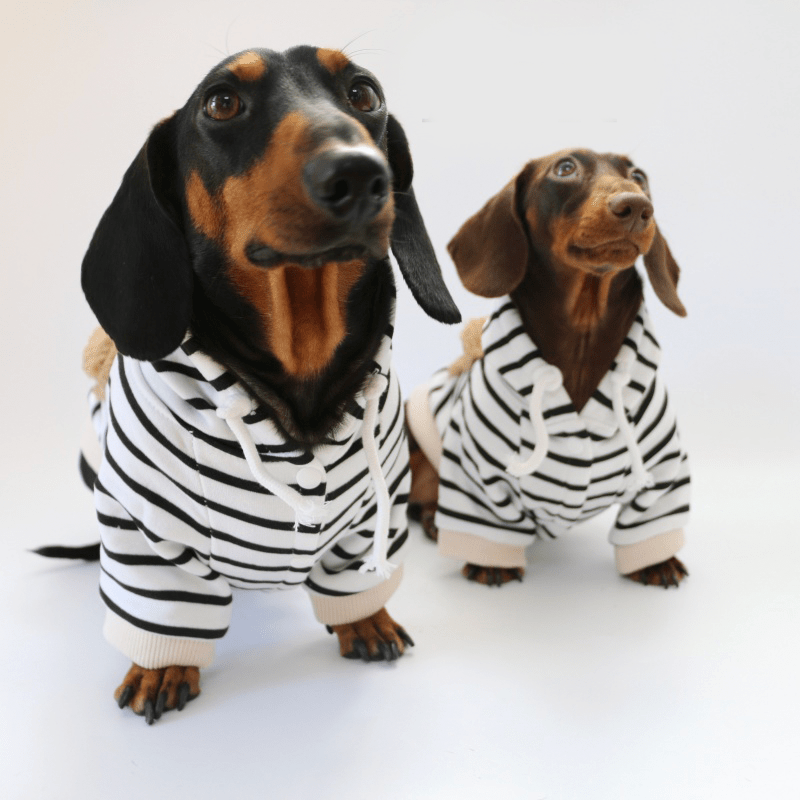 Dachshund Clothes Dog Hoodie Zebra Fleece Pocket with D - Ring - PIKAPIKA