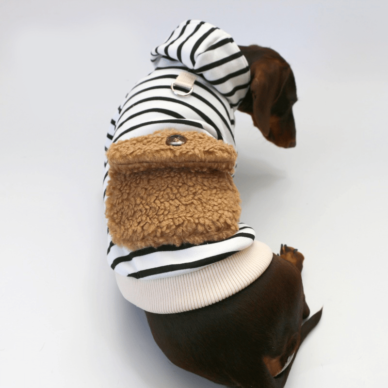Dachshund Clothes Dog Hoodie Zebra Fleece Pocket with D - Ring - PIKAPIKA