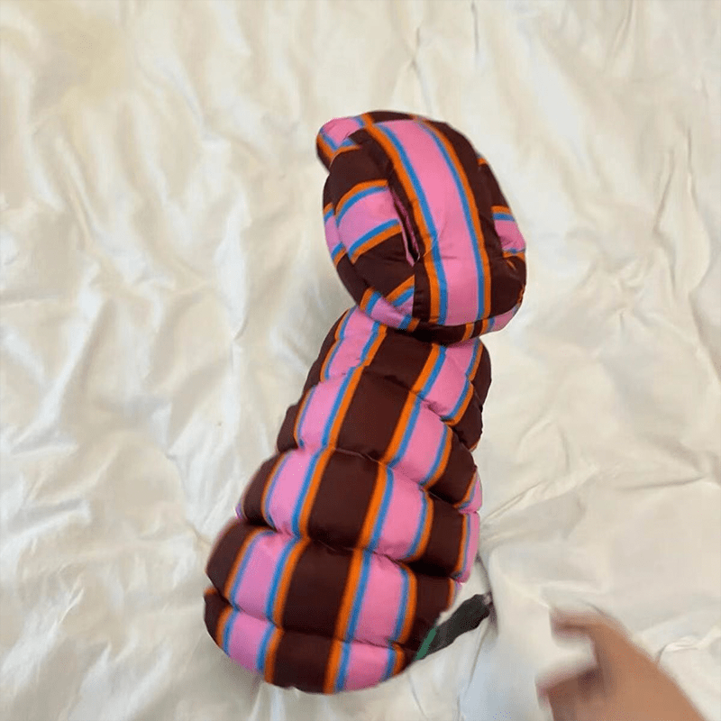 Dachshund Clothes Dog Jacket Padding Coat with Hat Rainbow Stripe - PIKAPIKA