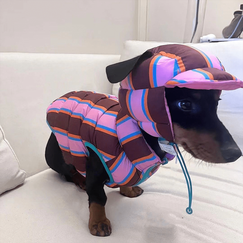 Dachshund Clothes Dog Jacket Padding Coat with Hat Rainbow Stripe - PIKAPIKA